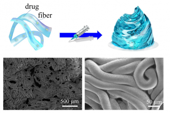 圖2 Fibro-gel的結構。黑白電子掃描電鏡圖顯示了構成凝膠的微纖維的形態。(圖片根據CC BY許可證的條款刊登。© 2023 Shen et al. Advanced Materials published by Wiley-VCH GmbH.)
 